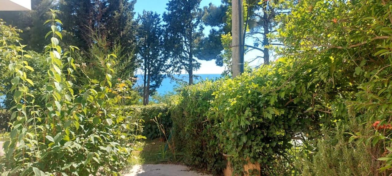 Apartmani Sunce Bar Pokój zdjęcie